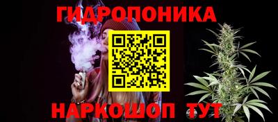 МДПВ Новодвинск