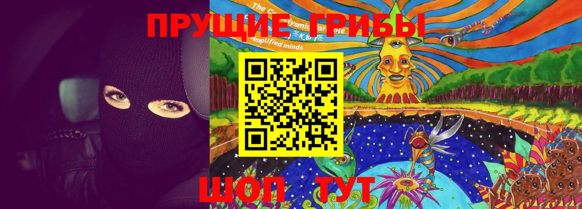 Псилоцибиновые грибы GOLDEN TEACHER Солнечногорск