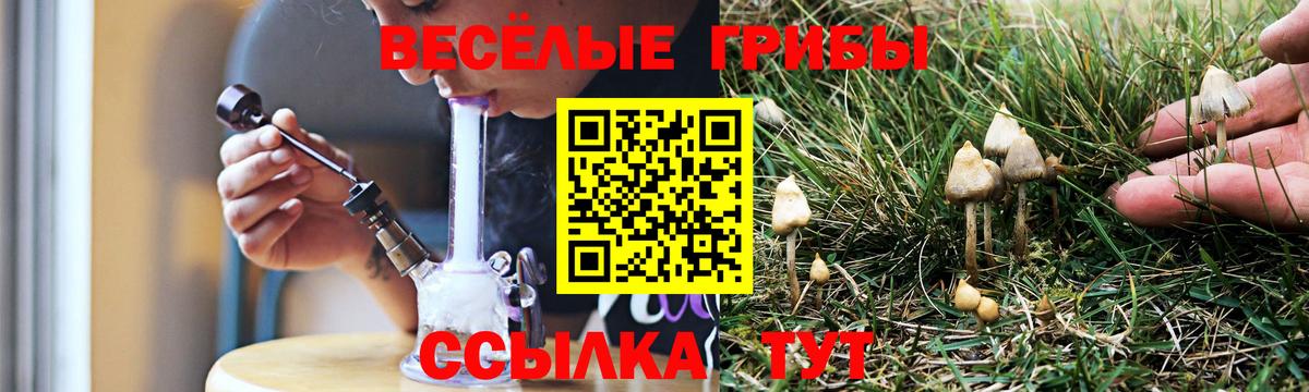 Галлюциногенные грибы Psilocybe  Вход с VPN  Солнечногорск  как найти наркотики  Галлюциногенные грибы мухоморы 